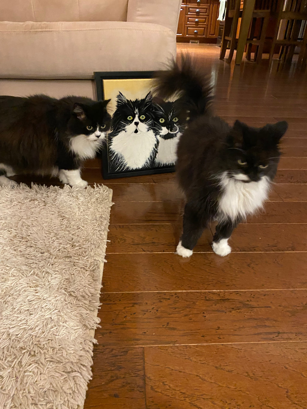 ♥️Pet Portraits (inquire for pricing)